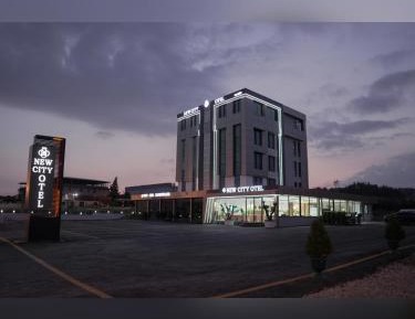 Studio with Garden View