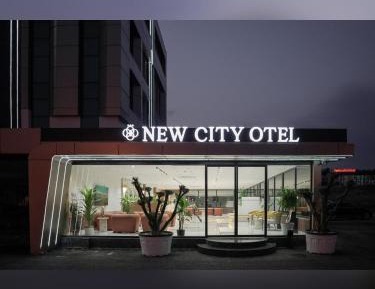 Studio with Garden View