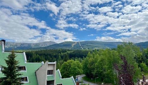 Two-Bedroom Apartment with Mountain View