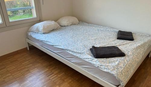 Three-Bedroom Apartment with View