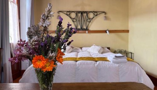 Double Room with Mountain View