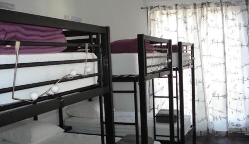 Bunk Bed in Mixed Dormitory Room