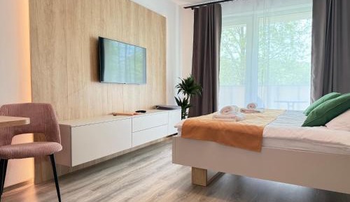 One-Bedroom Apartment with Balcony