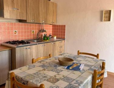 Standard Apartment