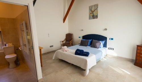 Superior Double or Twin Room with Pool View