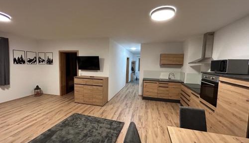Two-Bedroom Apartment with Mountain View