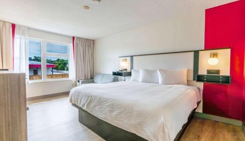 King Room - Ground Floor/Non-Smoking