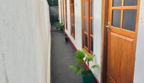Single Bed in Mixed Dormitory Room
