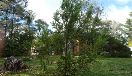 Three-Bedroom Holiday Home 