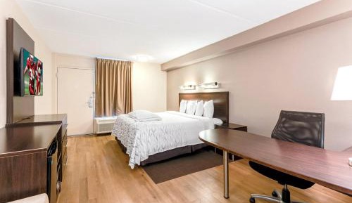 Premium King Room Smoke Free