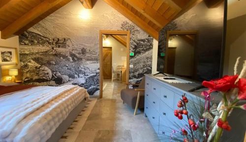 One-Bedroom Apartment with Balcony and Mountain View  