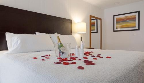 Deluxe King Suite