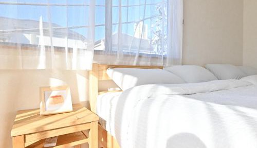 Standard Villa