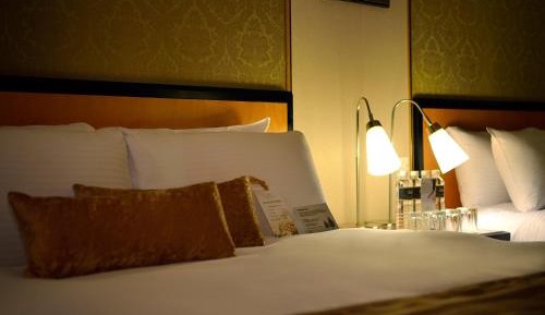 Family room（no view)