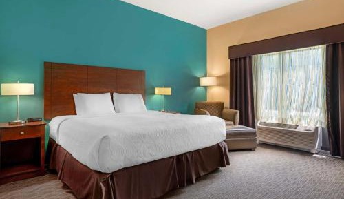 King Suite with Sofa Bed - Disability Access