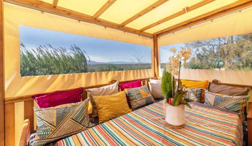 Mobile Home