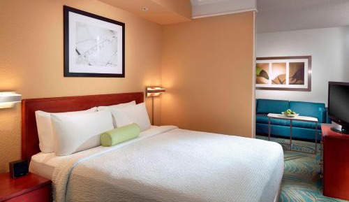 King Suite with Sofa Bed