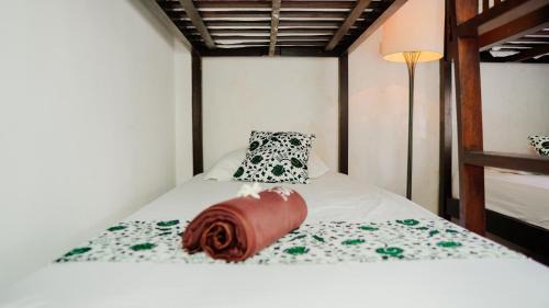 Bunk Bed in Mixed Dormitory Room
