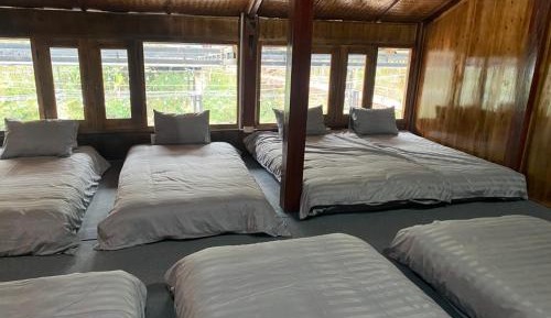 Single Bed in Mixed Dormitory Room