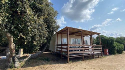 Mobile Home