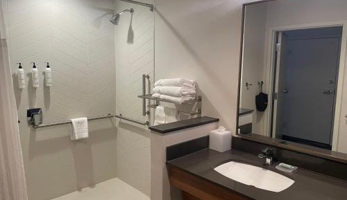 King Room with Roll-in Shower - Mobility Accessible