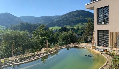 Double Room with Pool View
