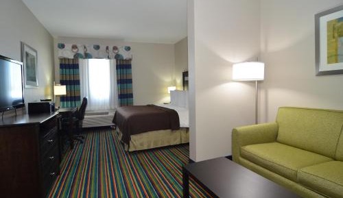 King Suite with Sofa Bed