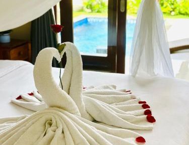 Double Room with Pool View