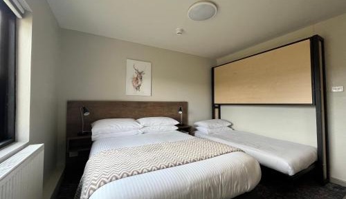 Standard Twin Room with Mountain View