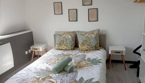 Standard Apartment