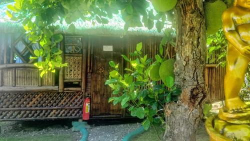Economy Double Room with Shared Bathroom
