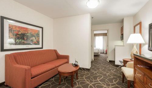 One-Bedroom King Suite with Sofa Bed