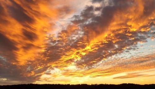 Double Room with Pool View
