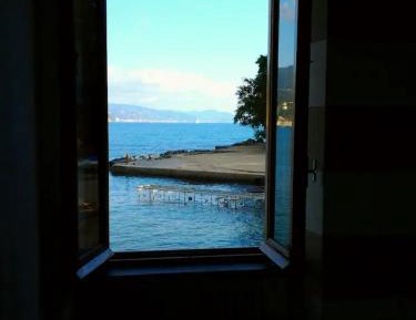 Superior One-Bedroom Apartment with Balcony