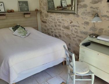 Studio with Garden View