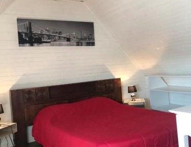 Basic Double Room