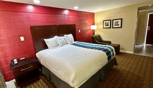 Standard King Room