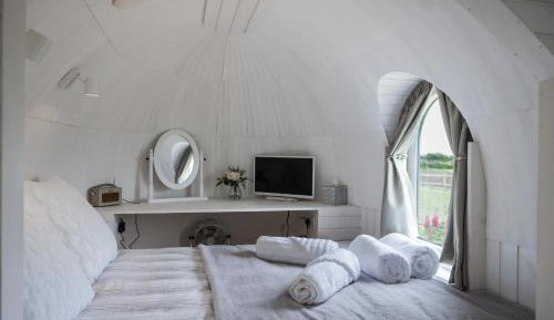 King Room with Garden View