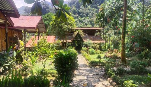 Deluxe Double or Twin Room with Garden View