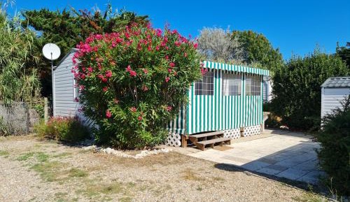 Mobile Home