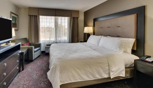 King Suite with Sofa Bed
