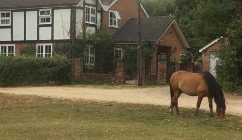 Apartment with Balcony