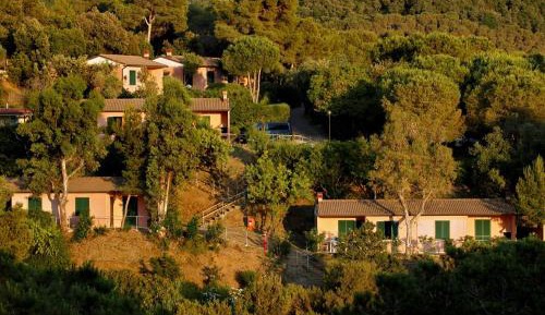 Deluxe Chalet (4 Adults)