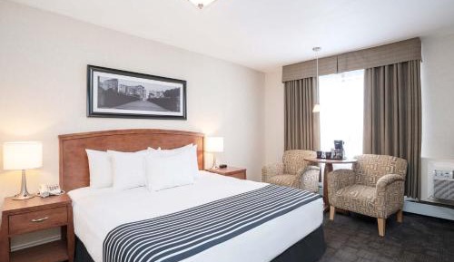 Standard Room, 1 King Bed