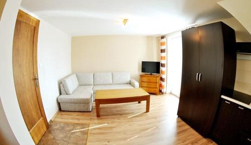 Large One-Bedroom Apartment with Balcony
