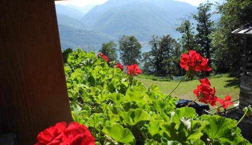 Apartment with Garden View