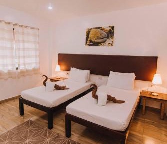 Deluxe Double or Twin Room with Ocean View