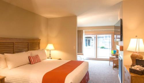 Premier Studio King Room w/ Sofa, 1st Floor, Pets Allowed