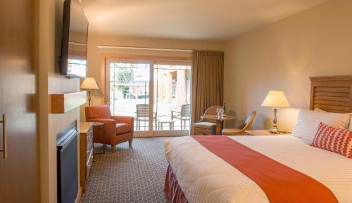 Premier Studio King Room, 1st Floor, Pets Allowed