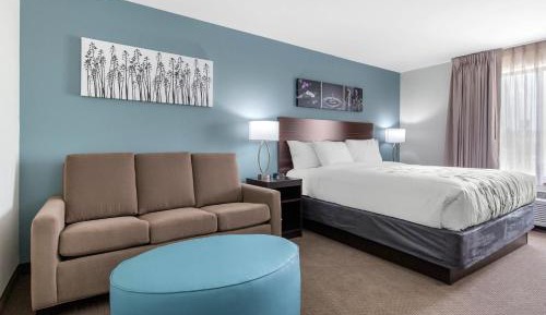 King Suite with Sofa Bed